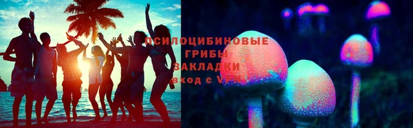 ГАЛЛЮЦИНОГЕННЫЕ ГРИБЫ Алексеевка