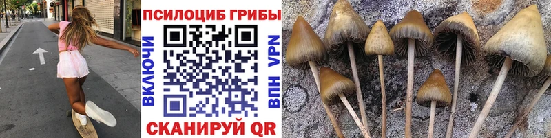 это наркотические препараты  ссылка на мегу рабочий сайт  Алзамай  Галлюциногенные грибы мицелий 